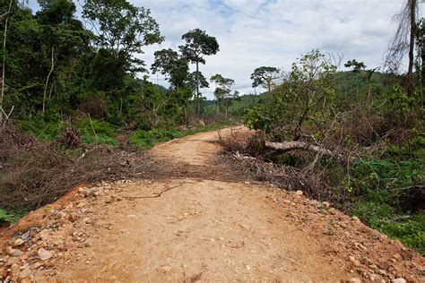  Xingu: A Terrifying Descent into the Brazilian Amazon